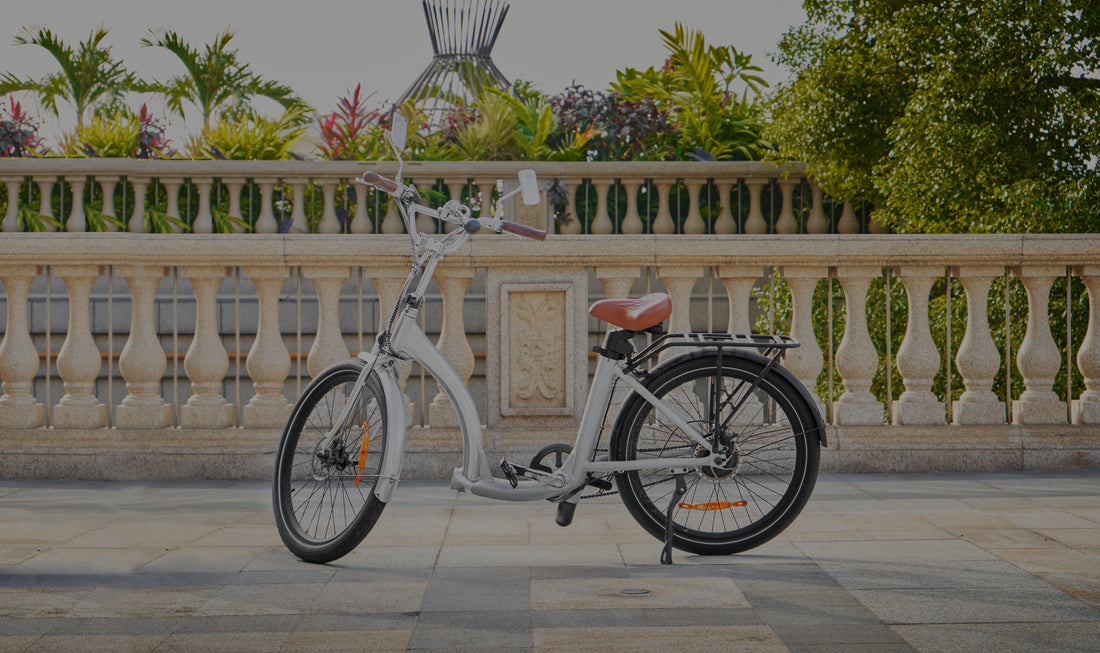 Time Capsule Black Vintage Bike Set